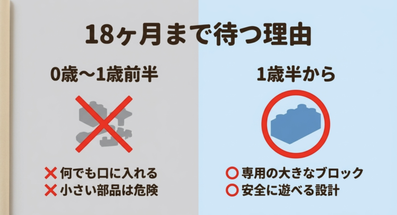 0歳から1歳前半は誤飲の危険があるため、安全に遊べる設計の専用ブロックが使える1歳半まで待つ理由